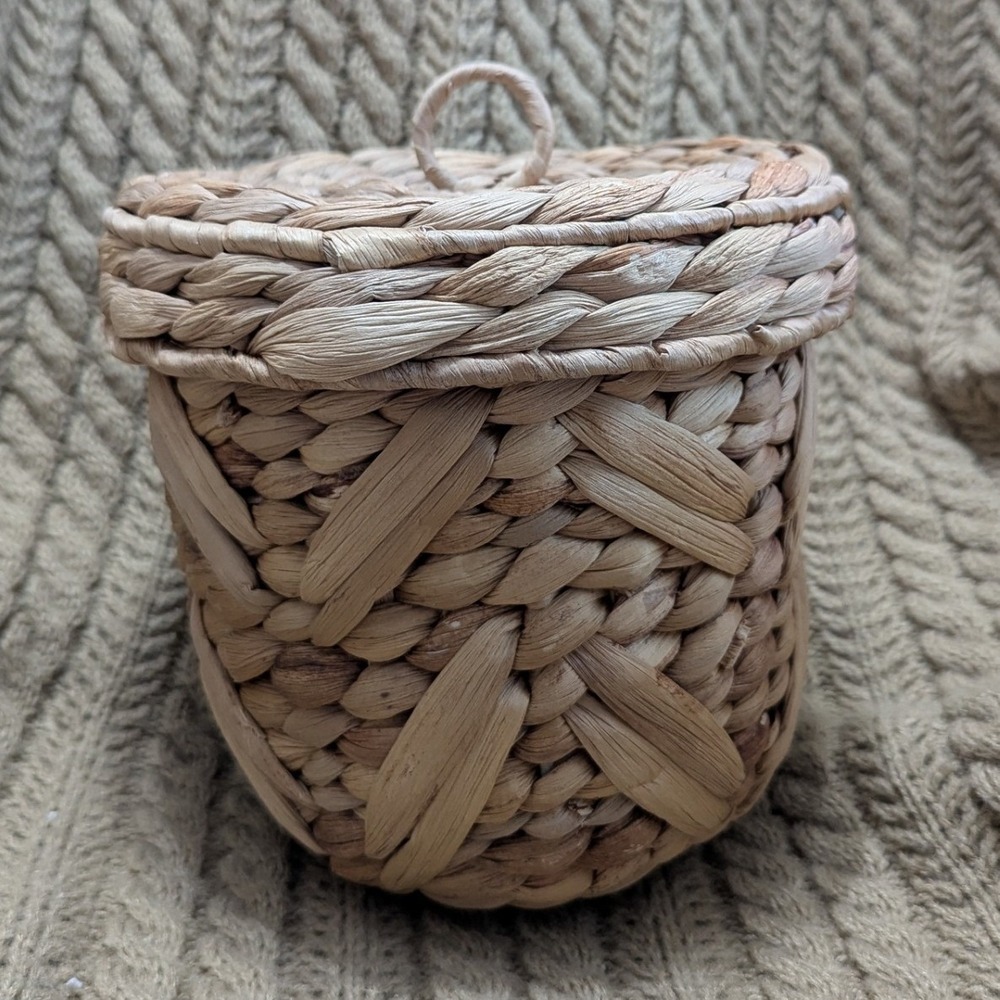 Natural Woven Seagrass Basket with Lid and Plastic Liner Small Boho Planter